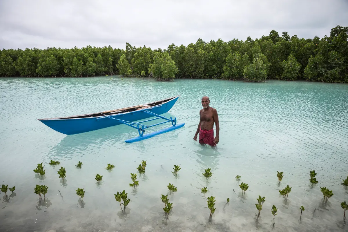 Lampoon, Kiribati Temata Tune, standing beside his canoe in Tarawa lagoon during high tide. In front of him are recently planted mangrove saplings while behind are mature mangroves, credits Vlad Sokhin Tarawa