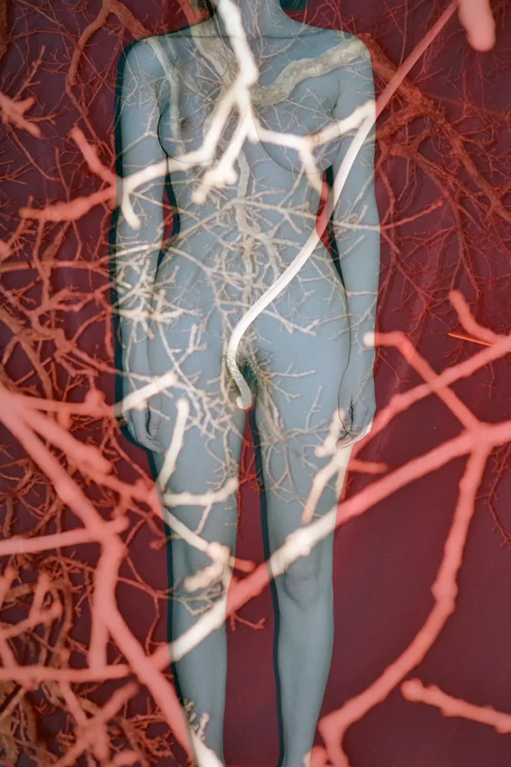 Layers II, Photography Guy Bolongaro