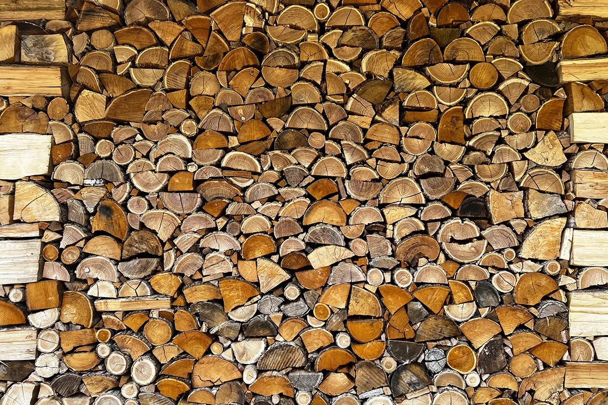 Stock of wood at Albiano, Province of Lucca, Tuscany, Credits Alessia Tu
