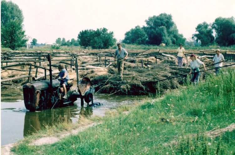 Water retting of hemp in Yugoslavia. (Courtesy of Dr. J. Berenji, Institute of Field and Vegetable Crops, Novi Sad.)