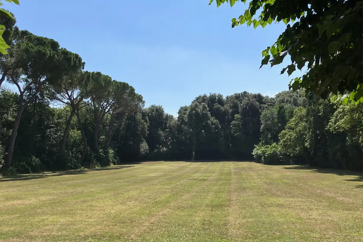 Secolari pini marittimi, querce e allori nell’Isola Bisentina
