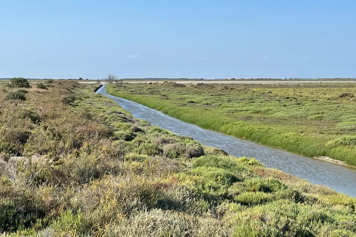 Le Saline in Camargue