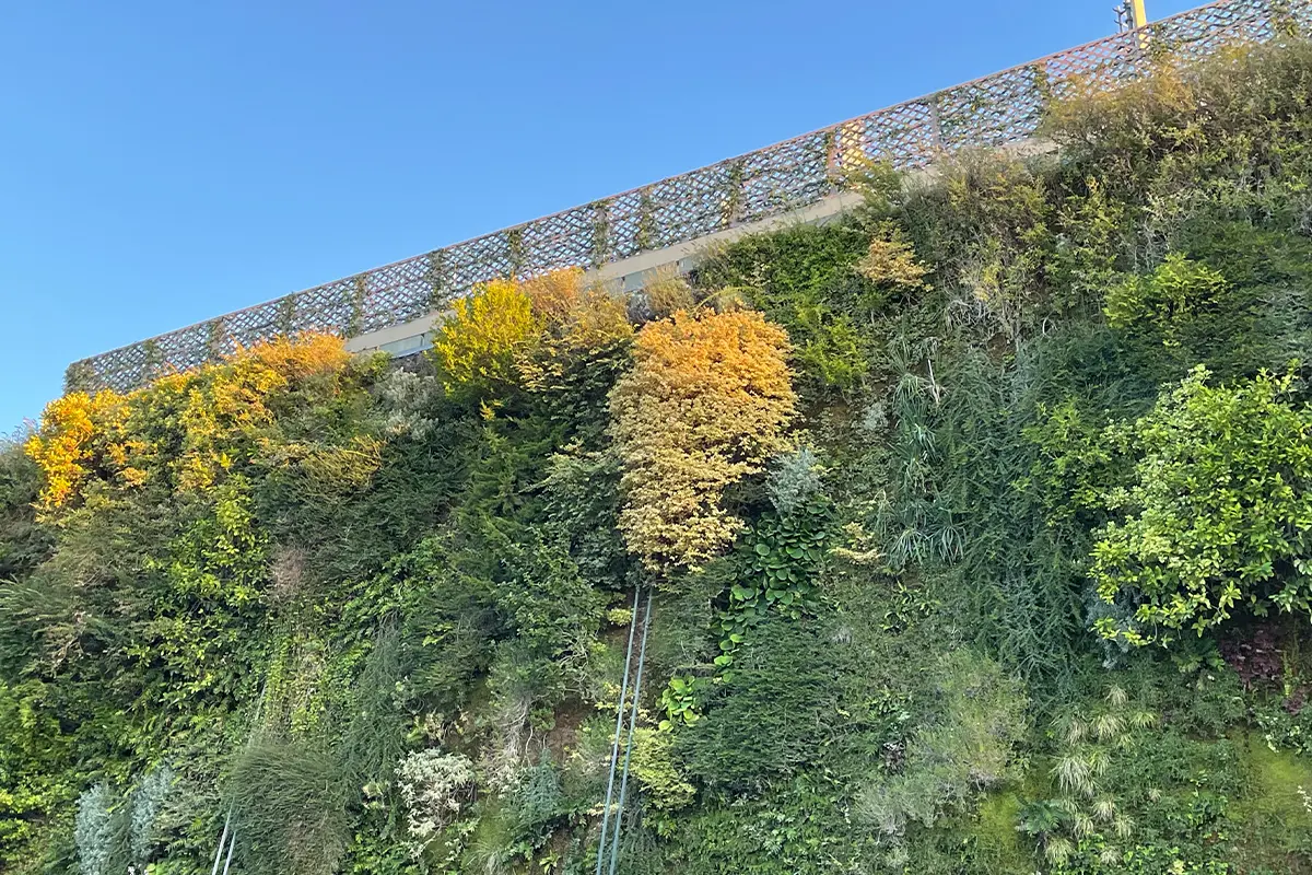Avignone, giardini verticali sulla facciata di un palazzo contemporaneo