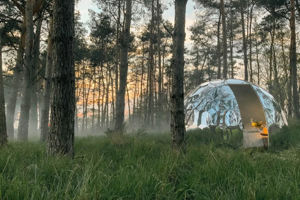 Lampoon, Trees cut to make space for glamping pods, Hypedome