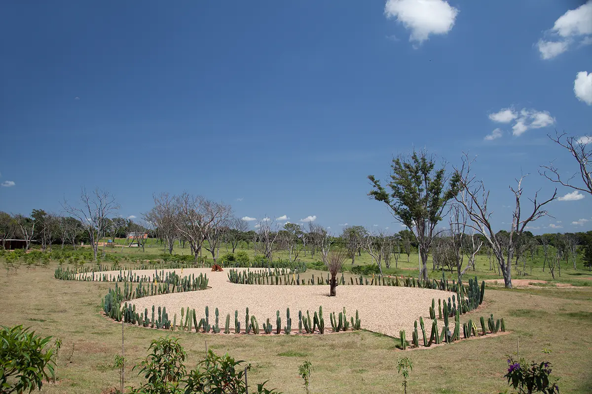 Lampoon, Mandacaru Cactus Pavilion, photography Fernando Laszlo