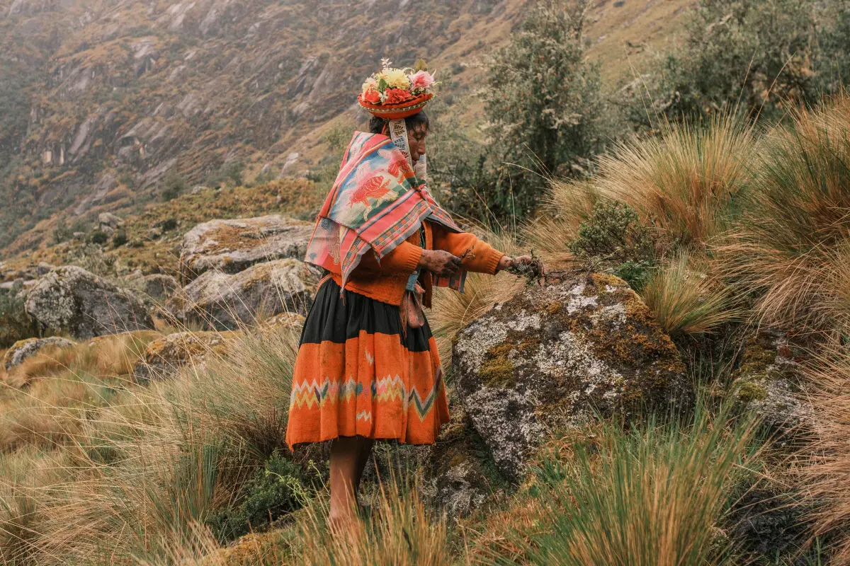 Lampoon, Musuk Nolte_Panos Pictures Quelcanca, Cusco, Peru A woman from the community of Quelcanca holds a Quenual bush before it is planted