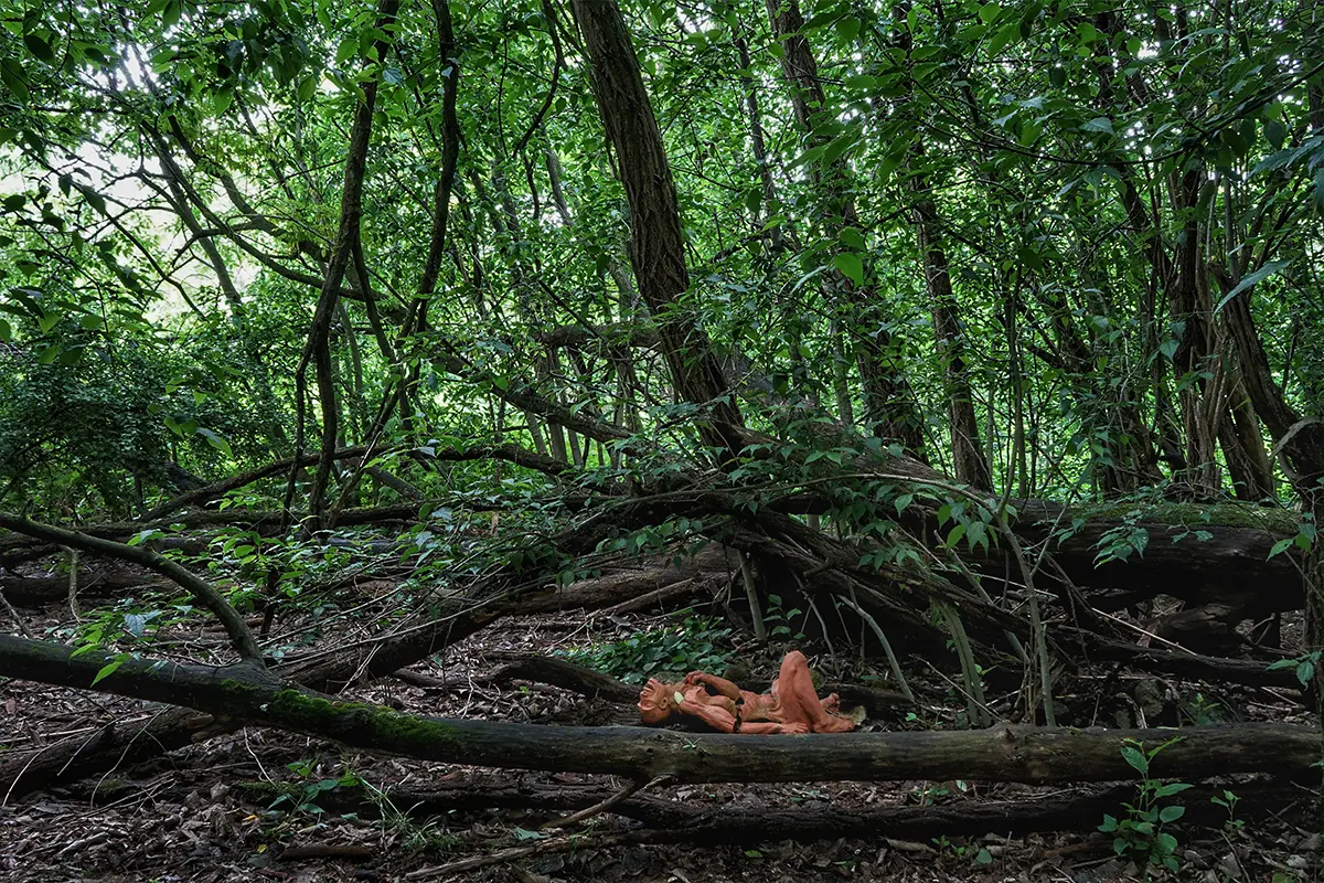 Nature Based Solutions – rinaturalizzione e rigenerazione di aree urbane ed extraurbane.