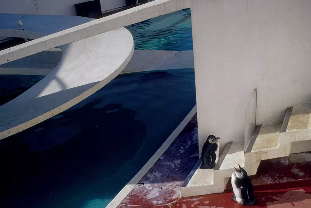 London Zoo, Penguin Pool, designed by the Tecton Group, 1934