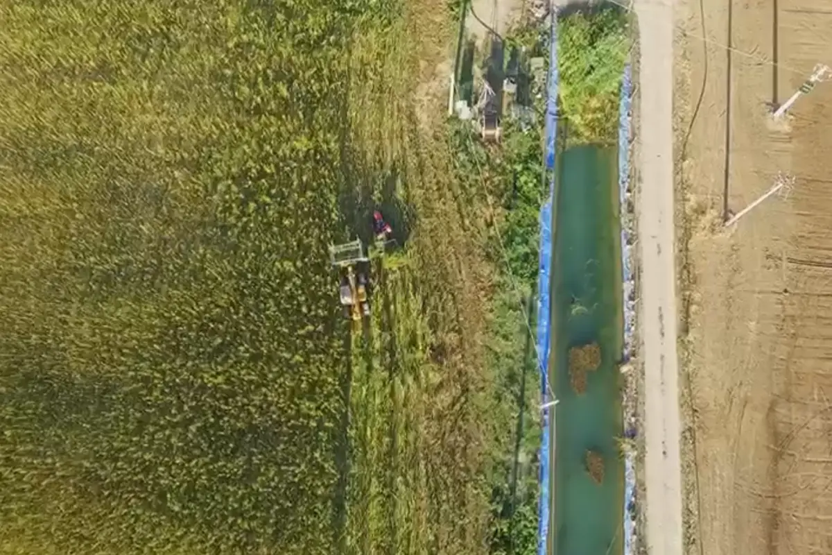 Qualsiasi progetto tessile che voglia lavorare la fibra di canapa sperando di stimolare un mercato tale da ripristinare la filiera della canapa italiana è un esempio di imprenditoria etica