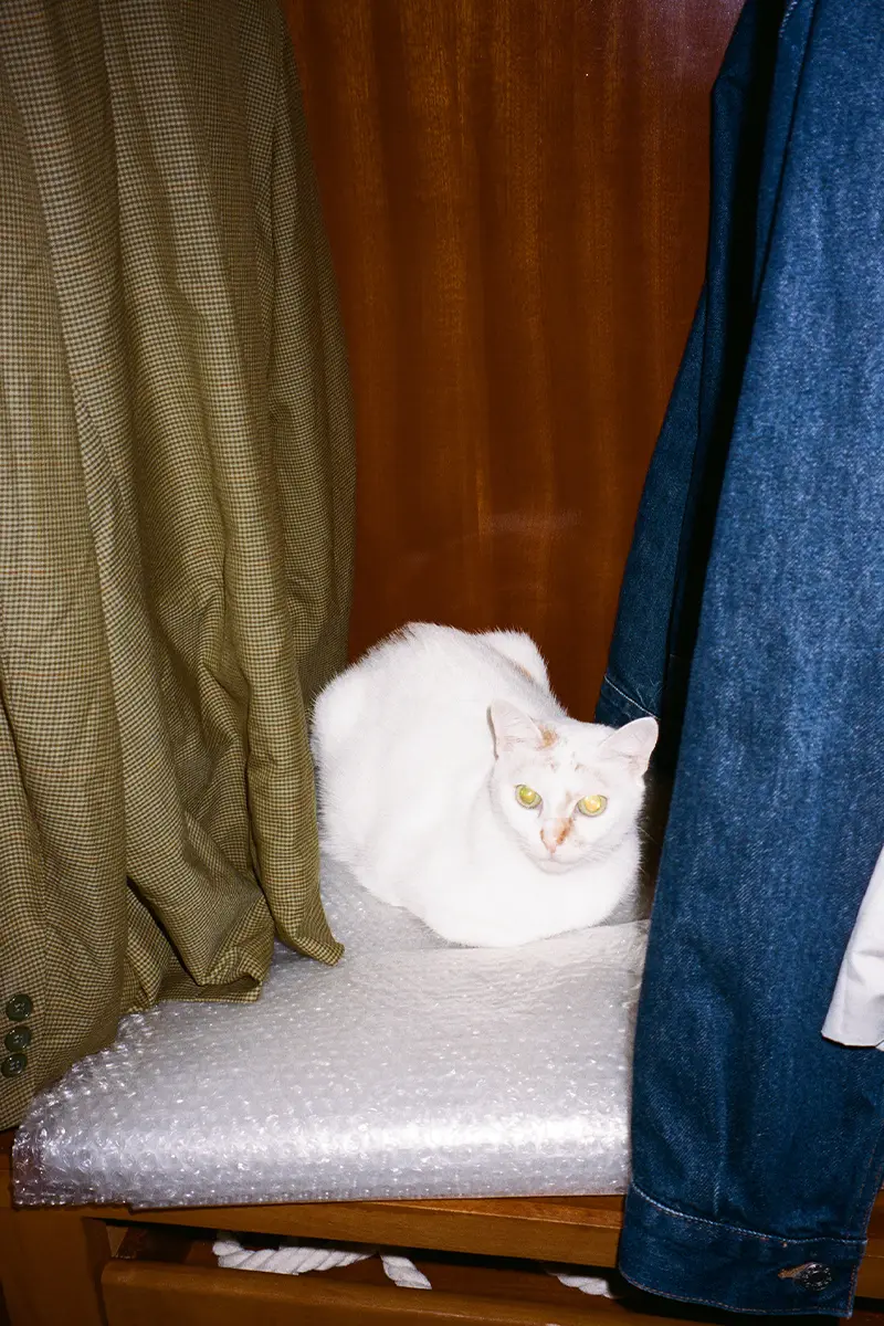 White cat. Photography Gianmarco Onofri, styling Ina Witzel