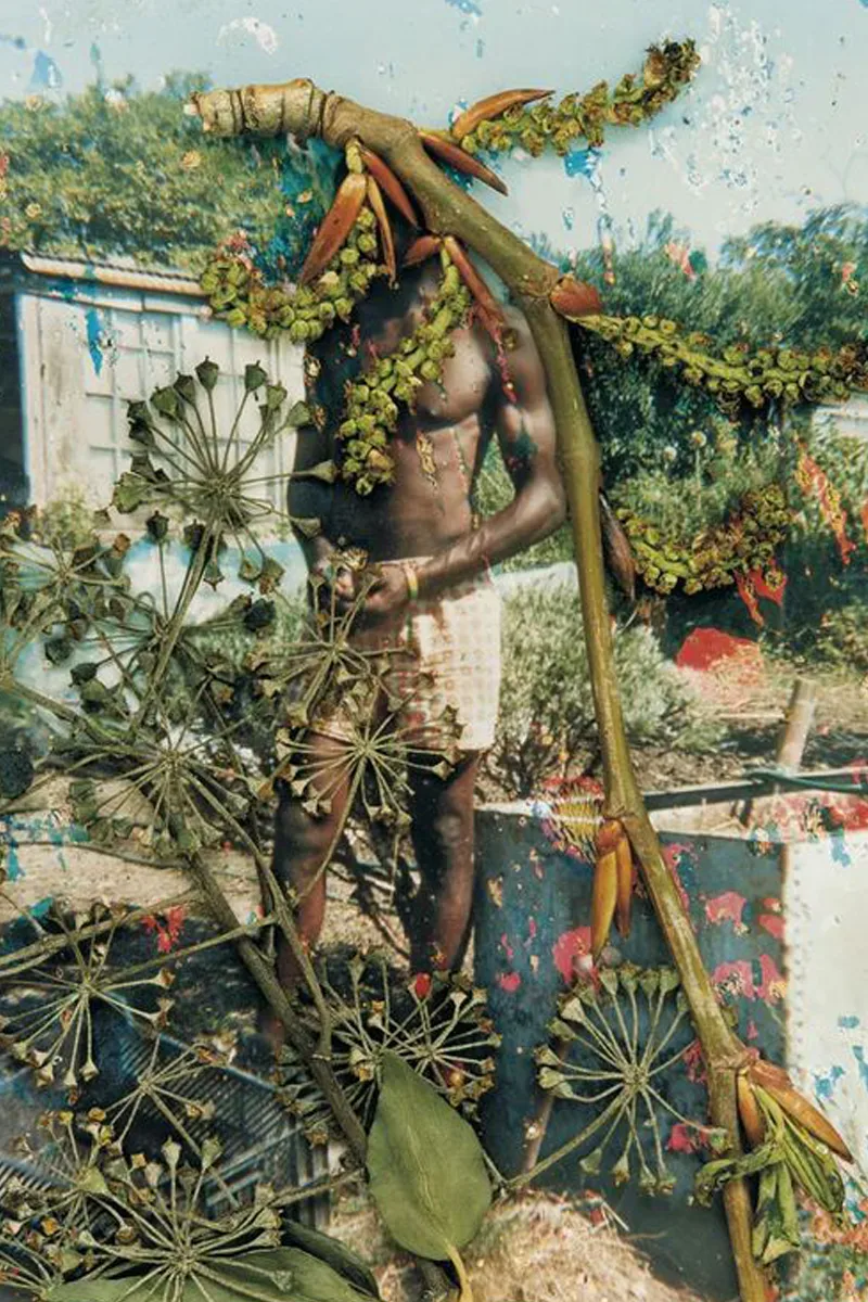 Collage artwork about green colonialism