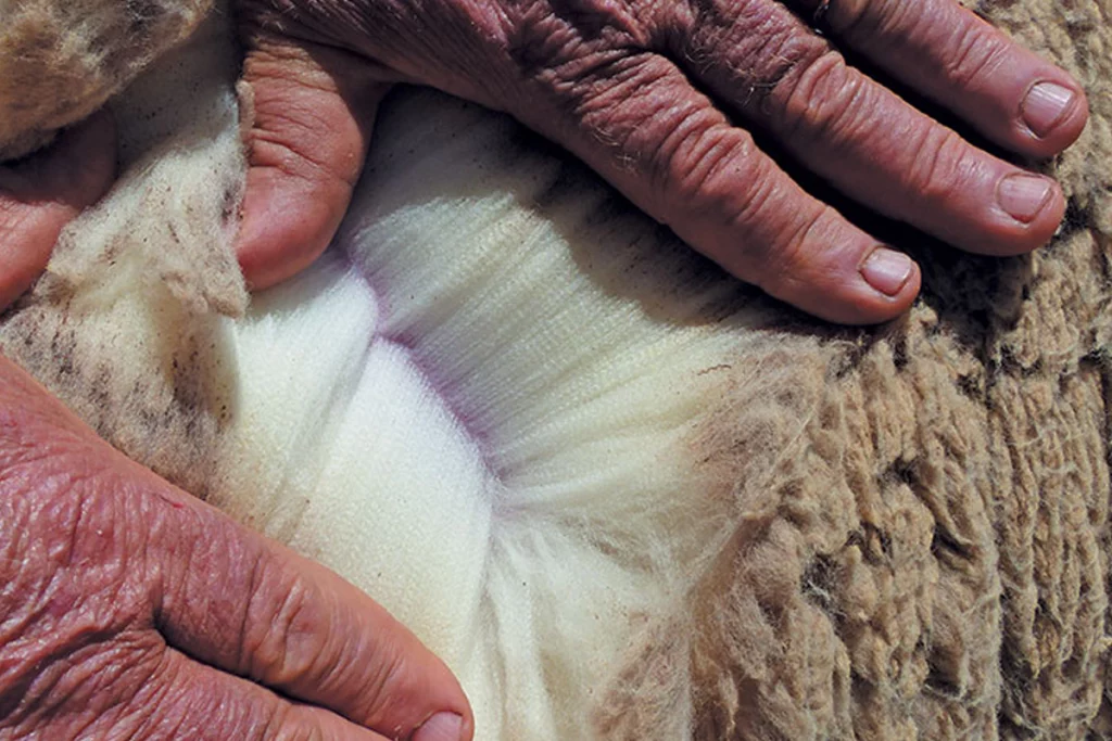 Farmers weekly wool quality control