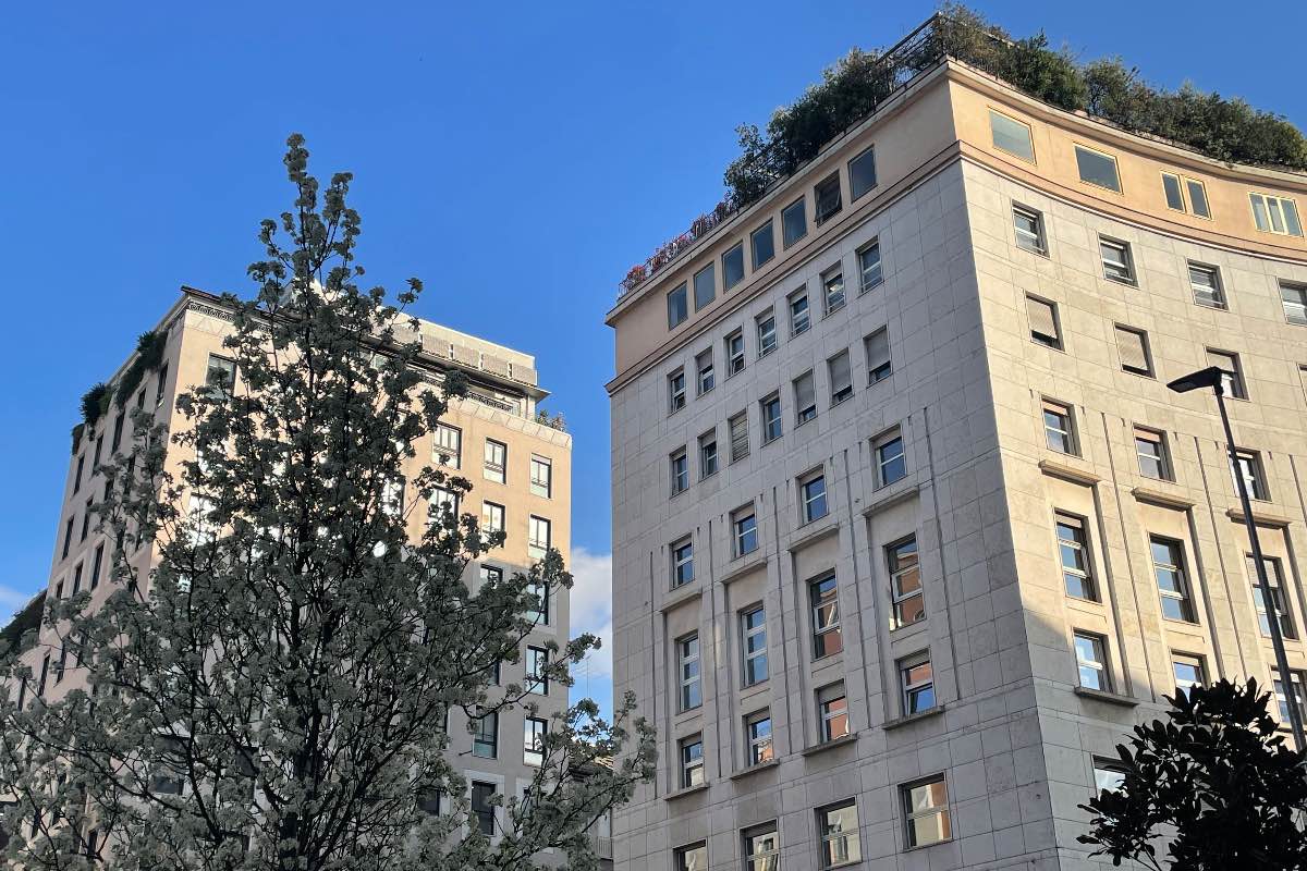 Gli alberi all'angolo tra piazza San Babila e Corso Europa