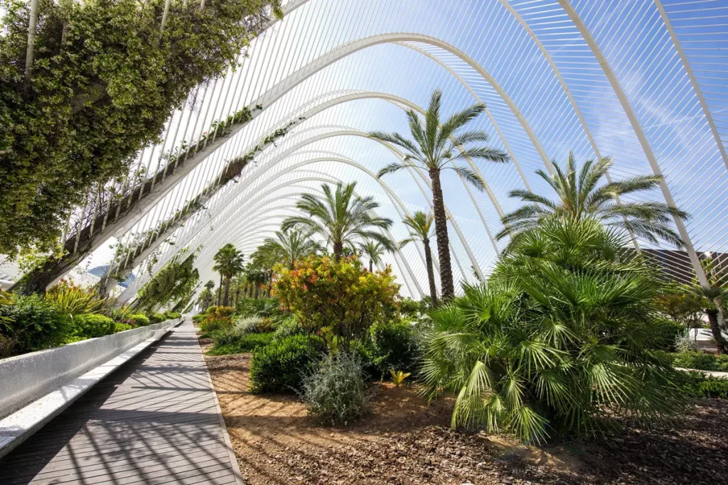 Lampoon, Valencia: European green capital, 2024