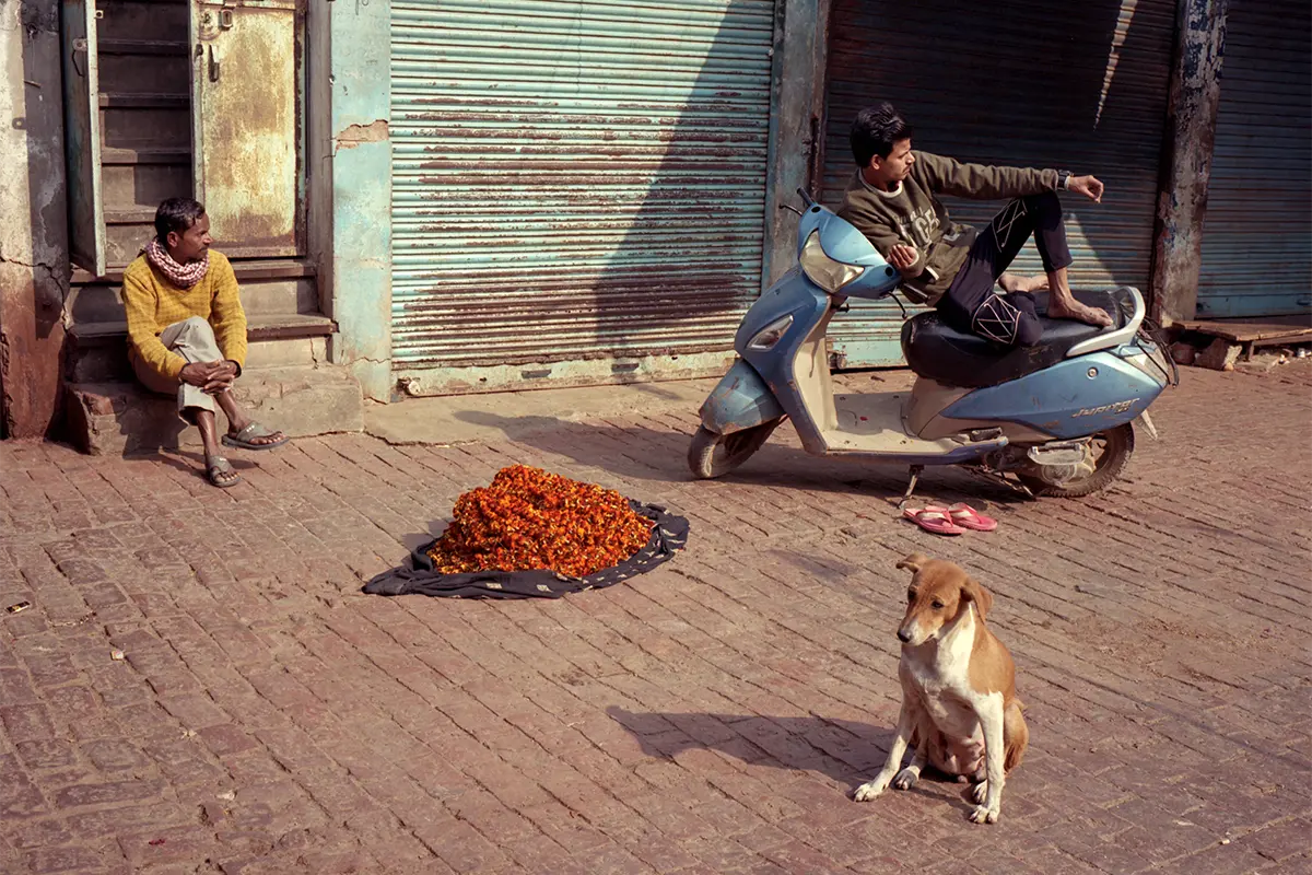Varanasi Flower Market. Dg with kid. Photography Billy Barraclough