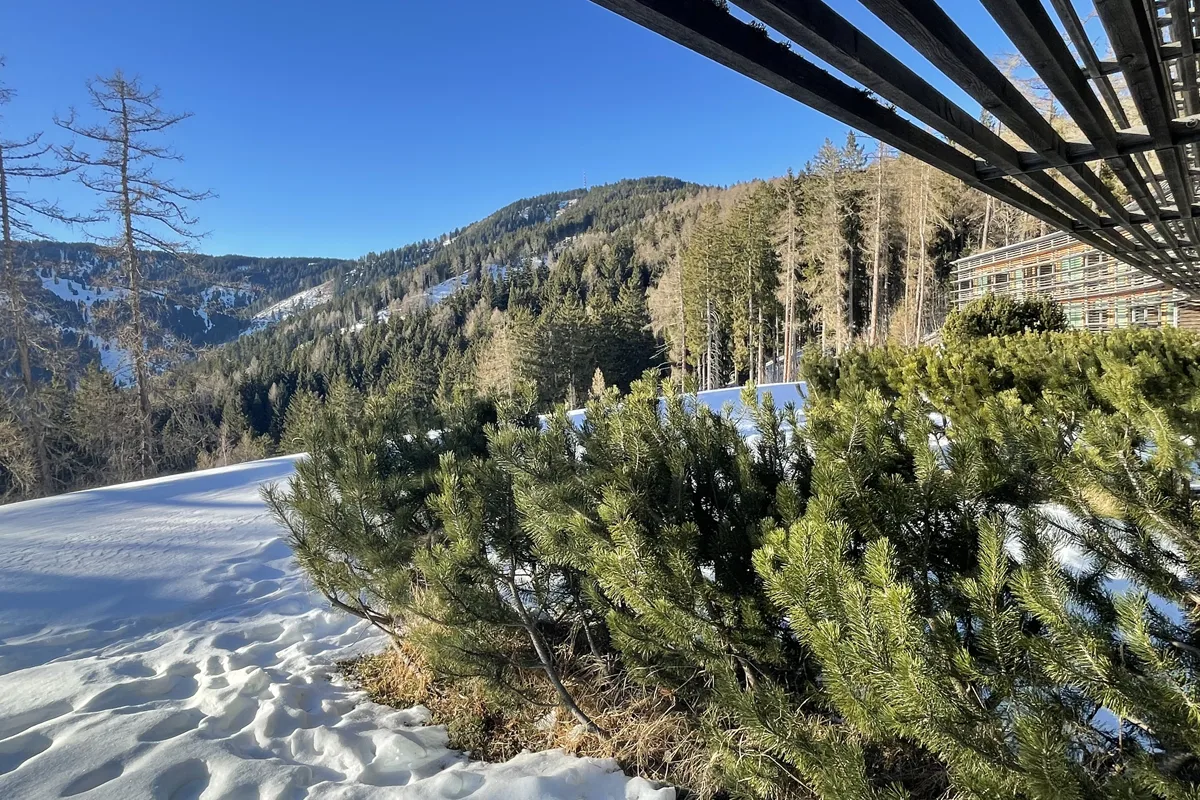 Vigilius Mountain Resort, Via Villa, 3, 39011 Lana (BZ)