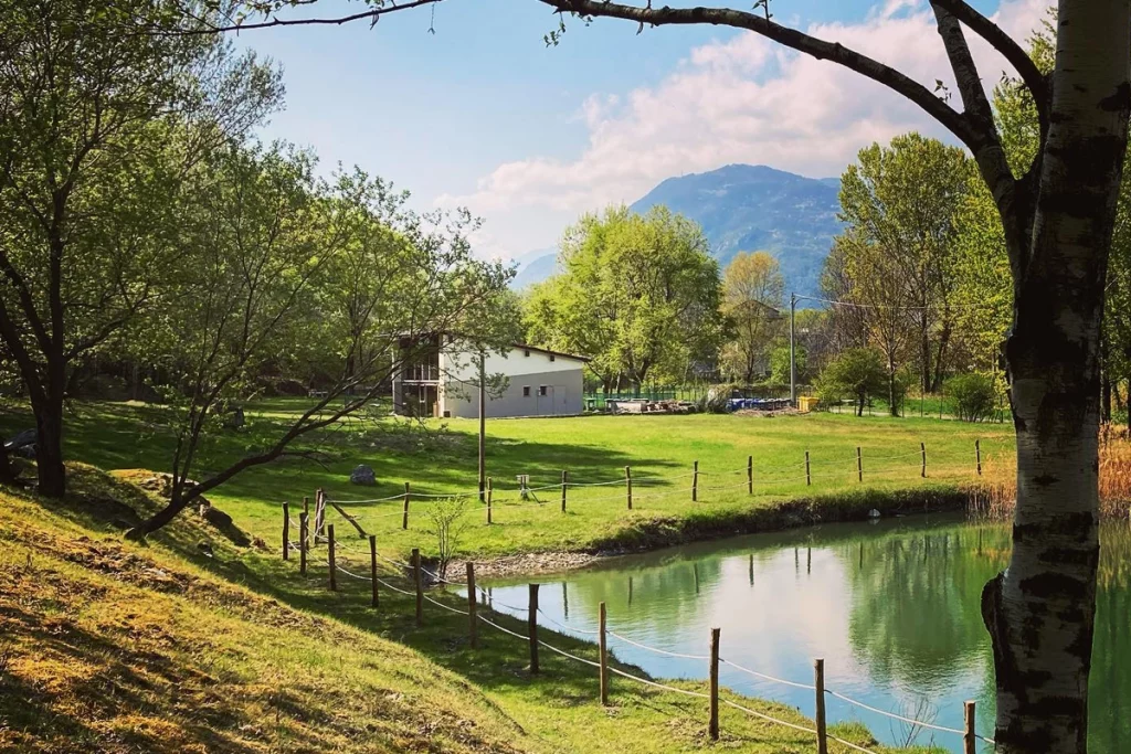 Green Festival Park with lake on a sunny day