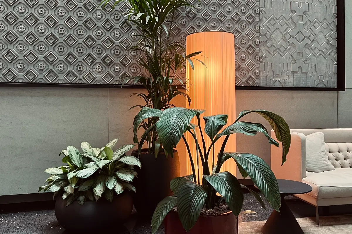 Dorothea Hotel Budabest – piante
