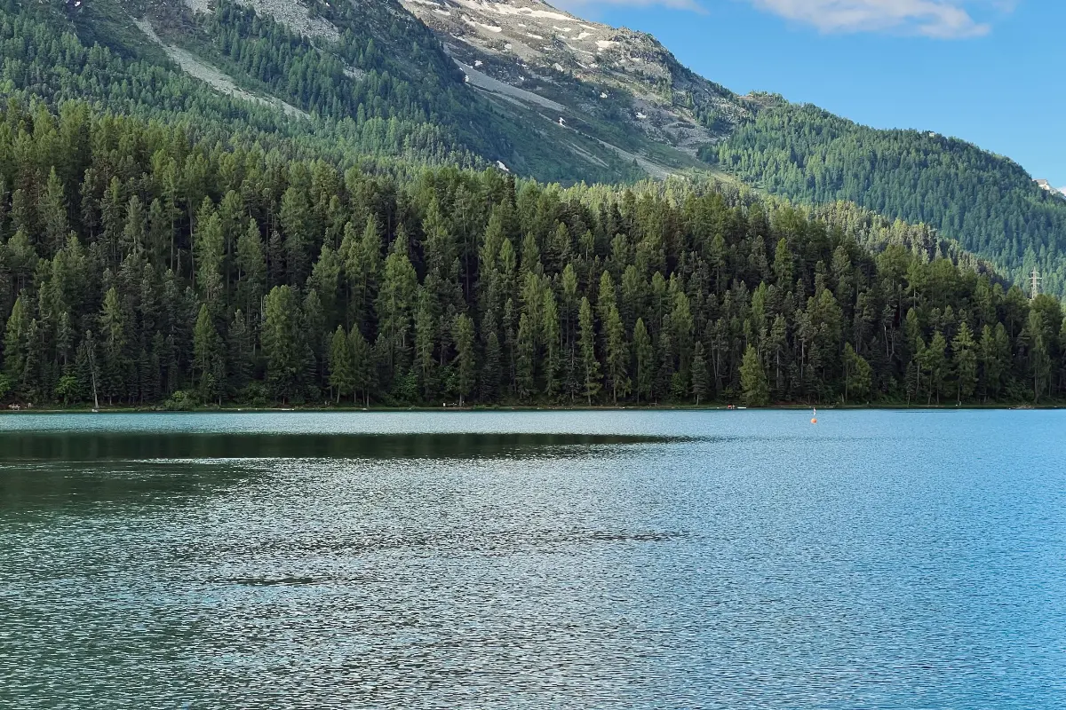Lago di St. Moritz