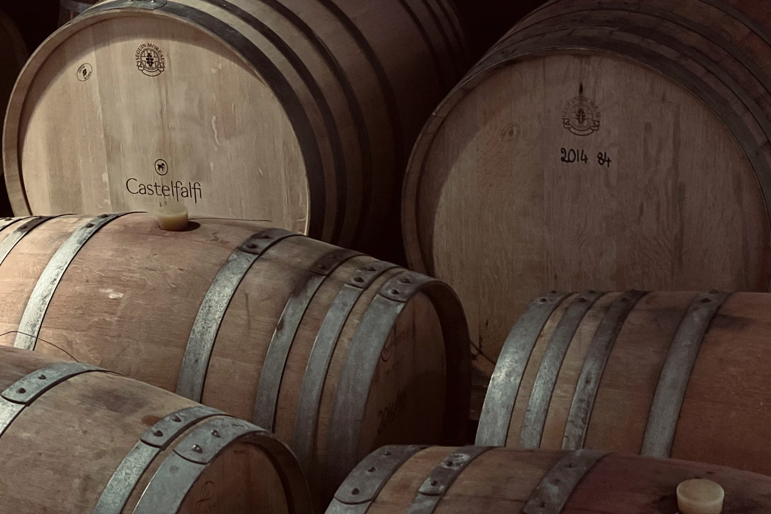 Castelfalfi, la cantina