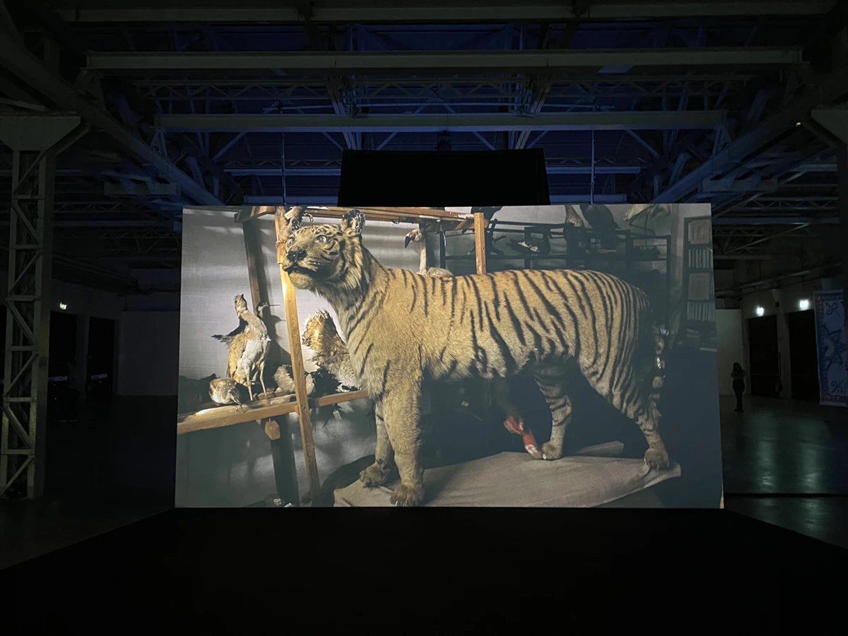 Maintenance to the taxidermy remains of the now-extinct Turan tiger in The Haunted (2017)