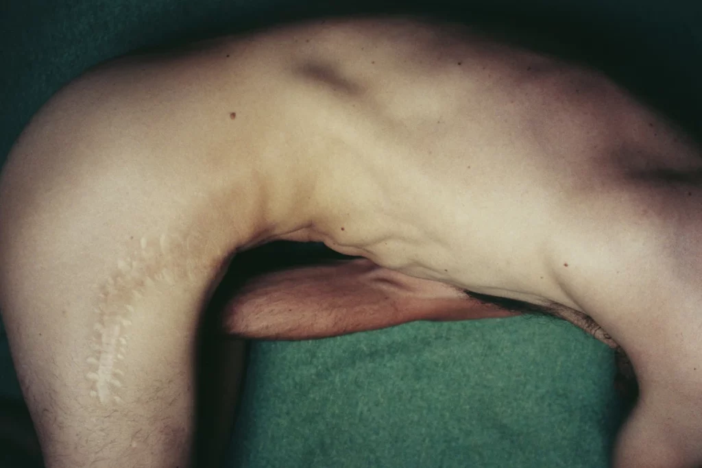 Viviane Sassen, Folio