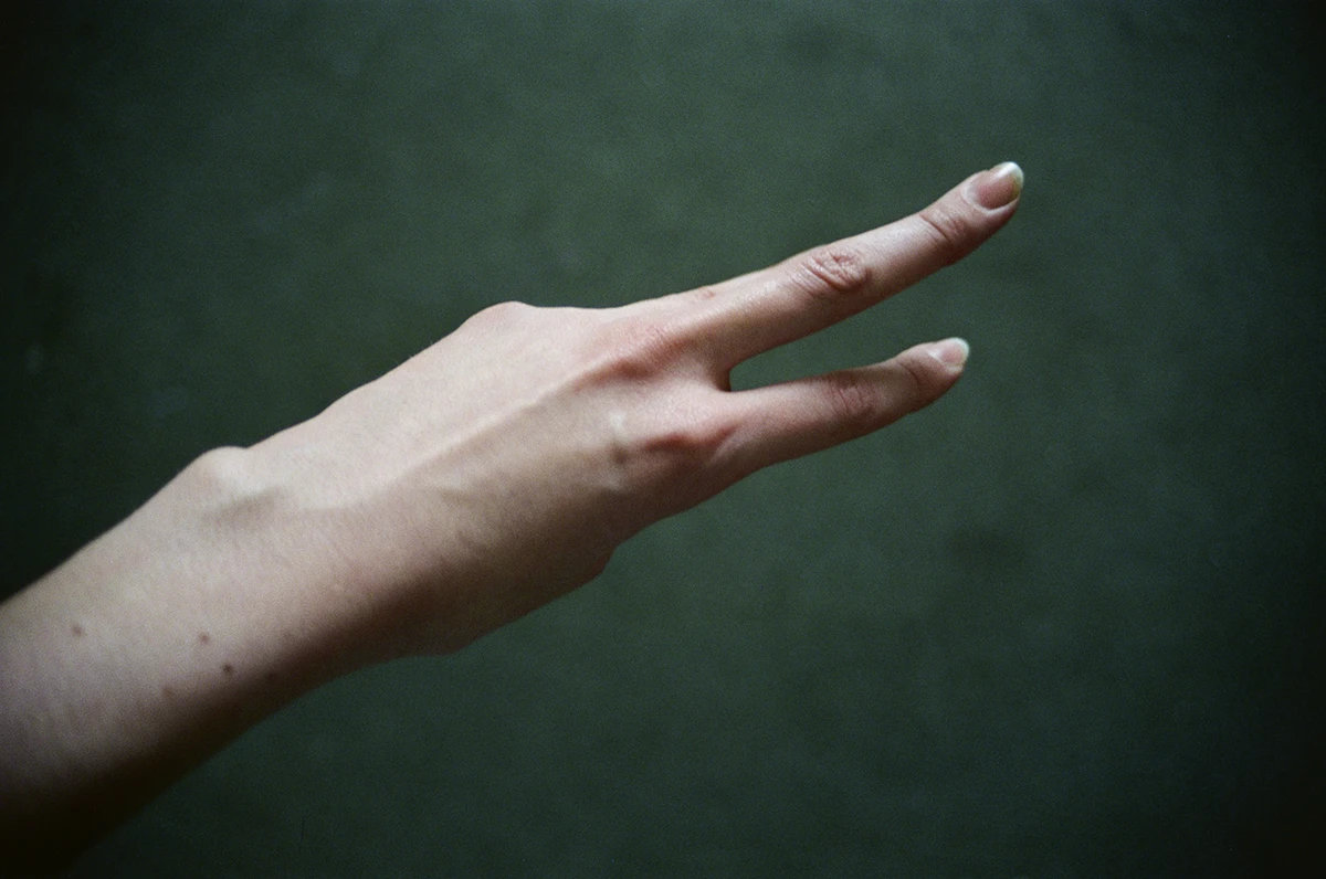 Viviane Sassen, Folio