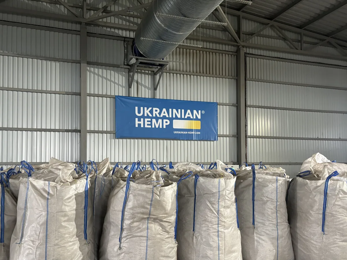 Where tradition meets innovation Ukrainian technology enhances hemp production efficiency for better sustainability. © Ukrainian Hemp®