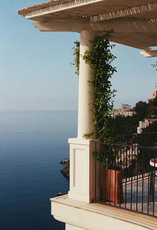 Borgo Santandrea, Amalfi, plumbago flowers