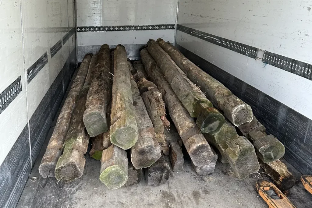 Augustas Serapinas, la fragilità del legno e l'architettura vernaccolare