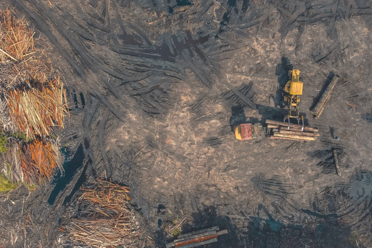 Soil and Artificial Snow