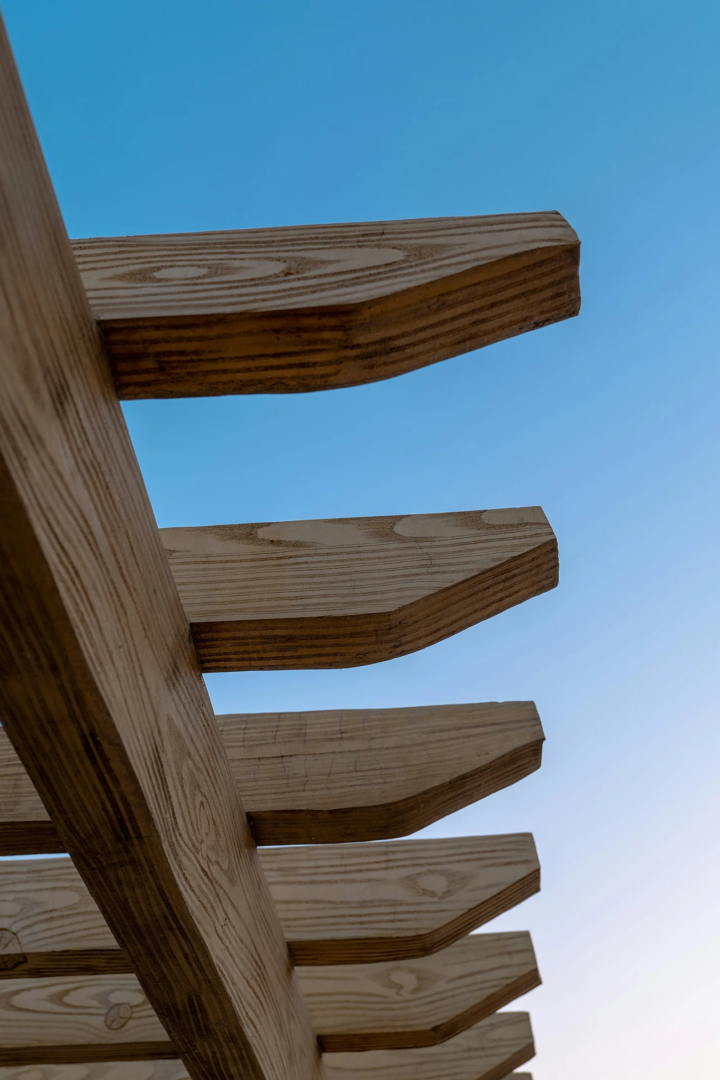 From the forest for the built environment. Photo credit Evan Jeung