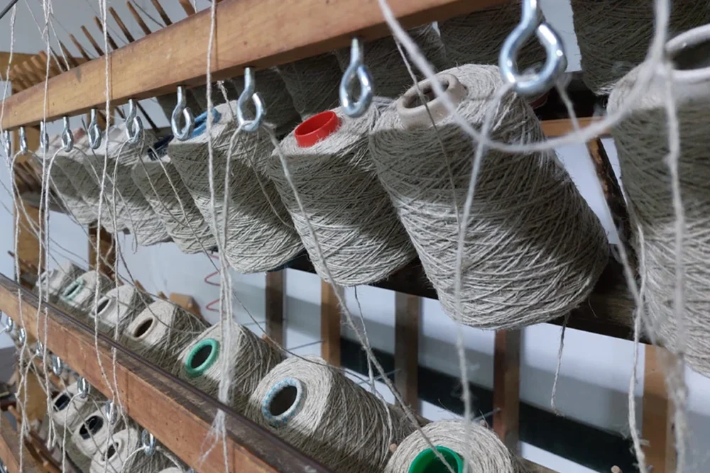 Hemp - purpose-driven economy