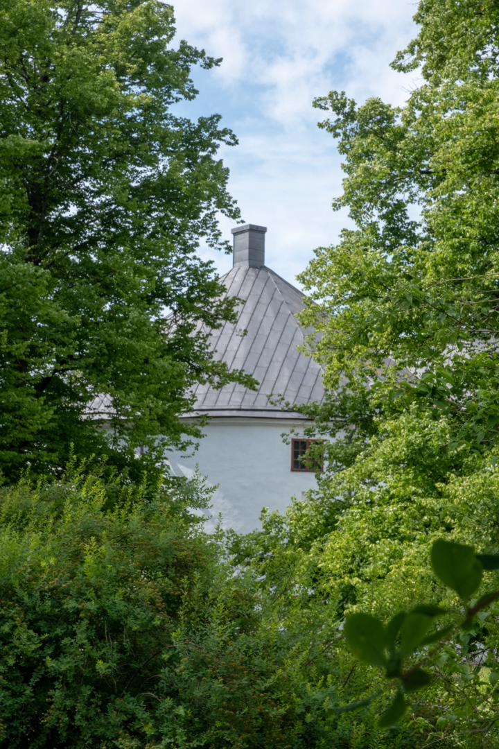 Integrating nature and the built environment. Photo credit Matilde Moro