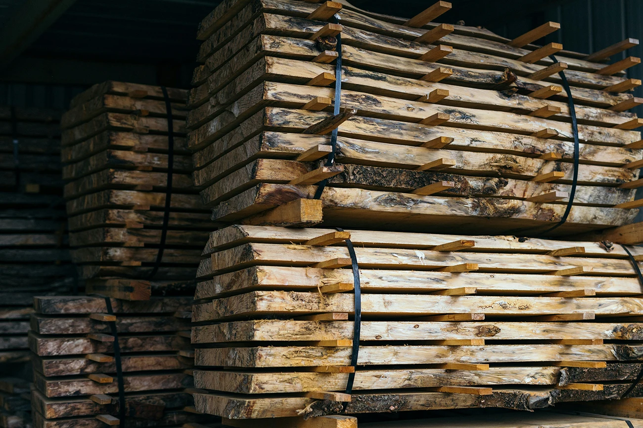 Timber can become a carbon sink. Photo credit Sarah Worth