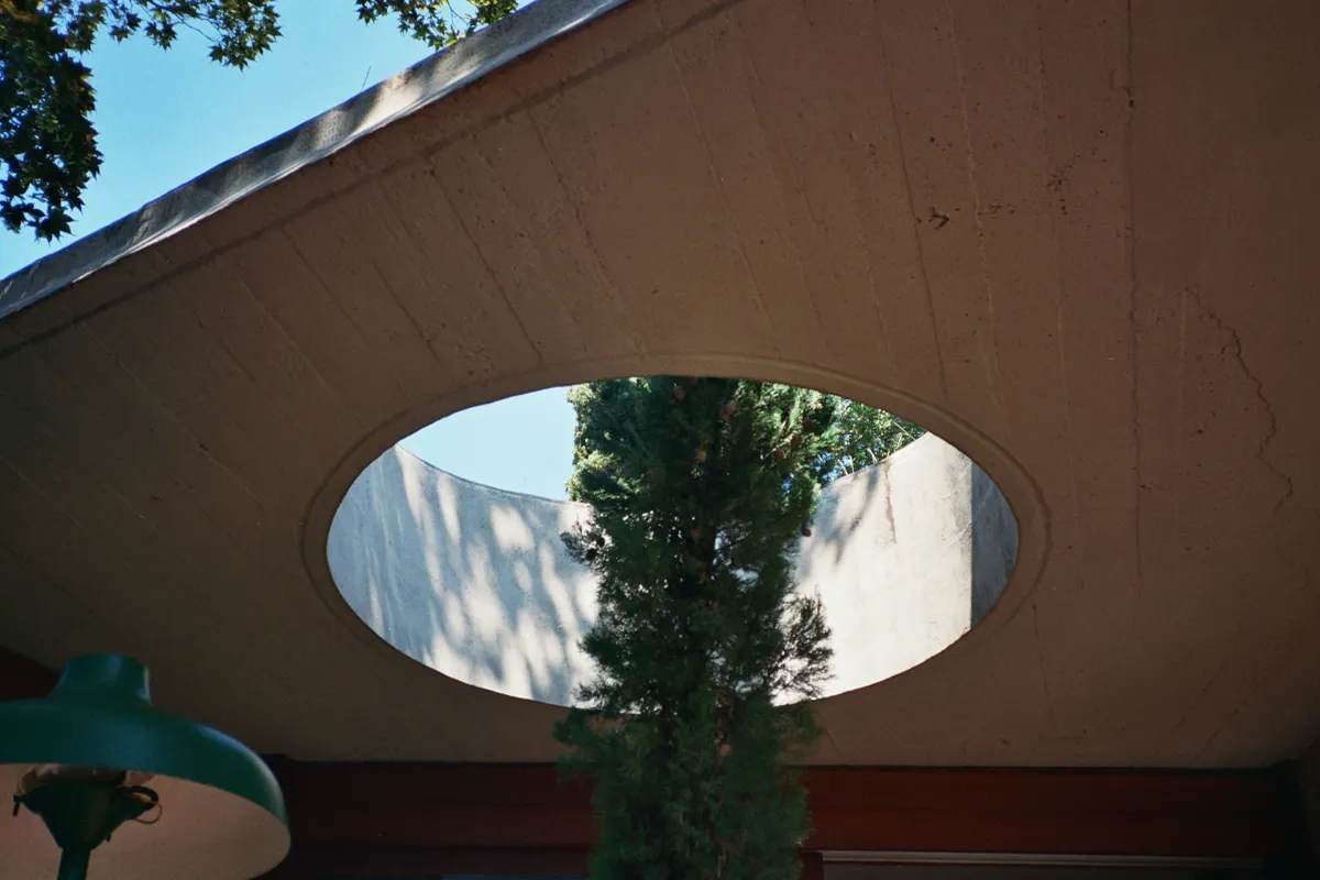 Villa La Medusa Organic Architecture