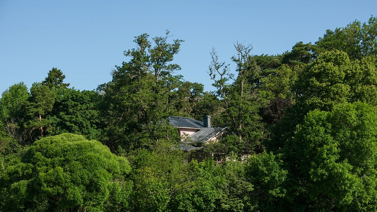 building with timber is about creating a new urban environment. Photo credit Matilde Moro