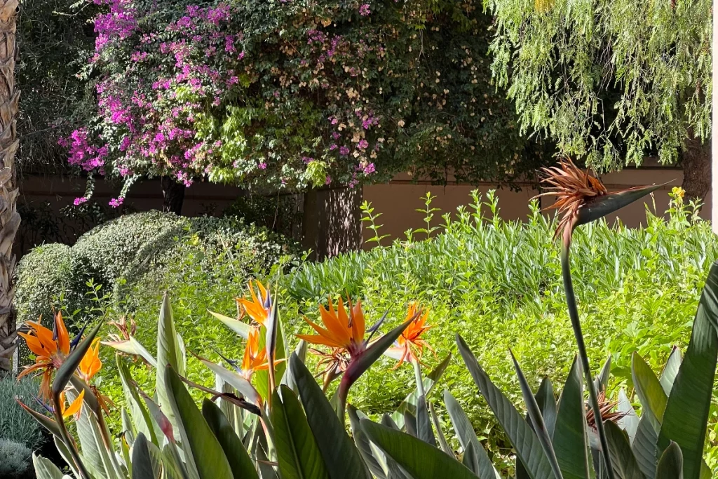 Gardens, Four Seasons Marrakech