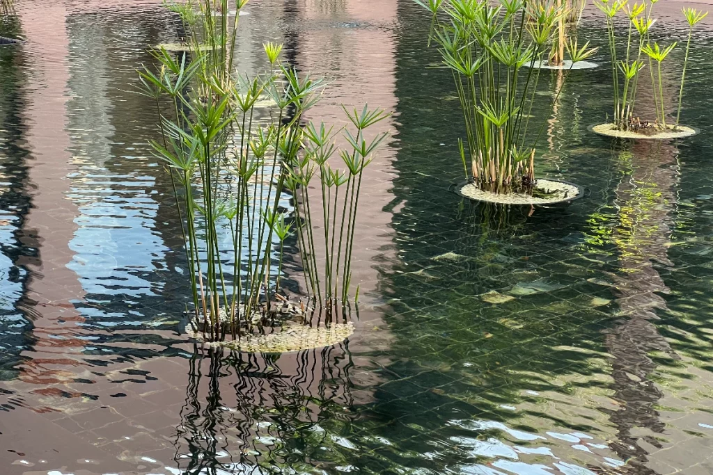 Body of water, Four Seasons Marrakech