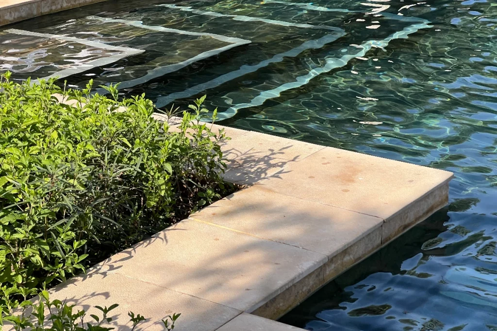 Pool, Four Seasons Marrakech