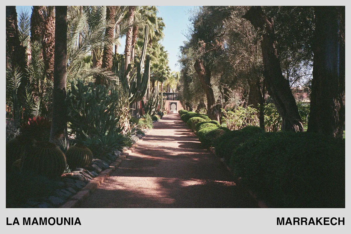 Hotel La Mamounia Marrakech