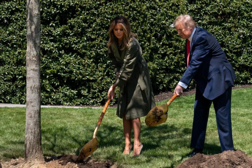 Trump and Melania planting a tree