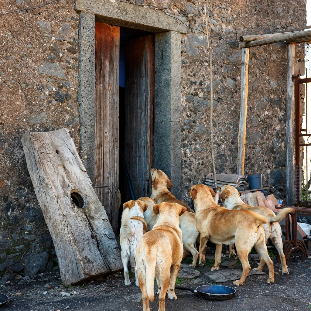Emanuele Occhipinti, A Muntagna