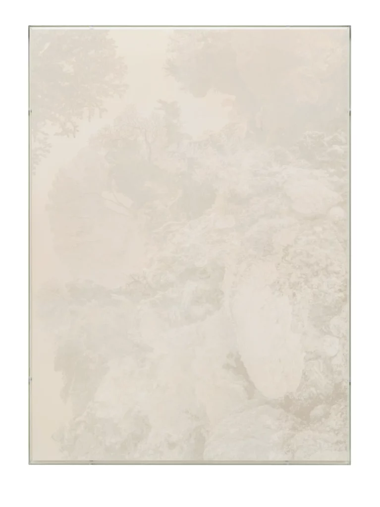 Julian Charrière, Veils, Gorgonia Flabellum, 2025