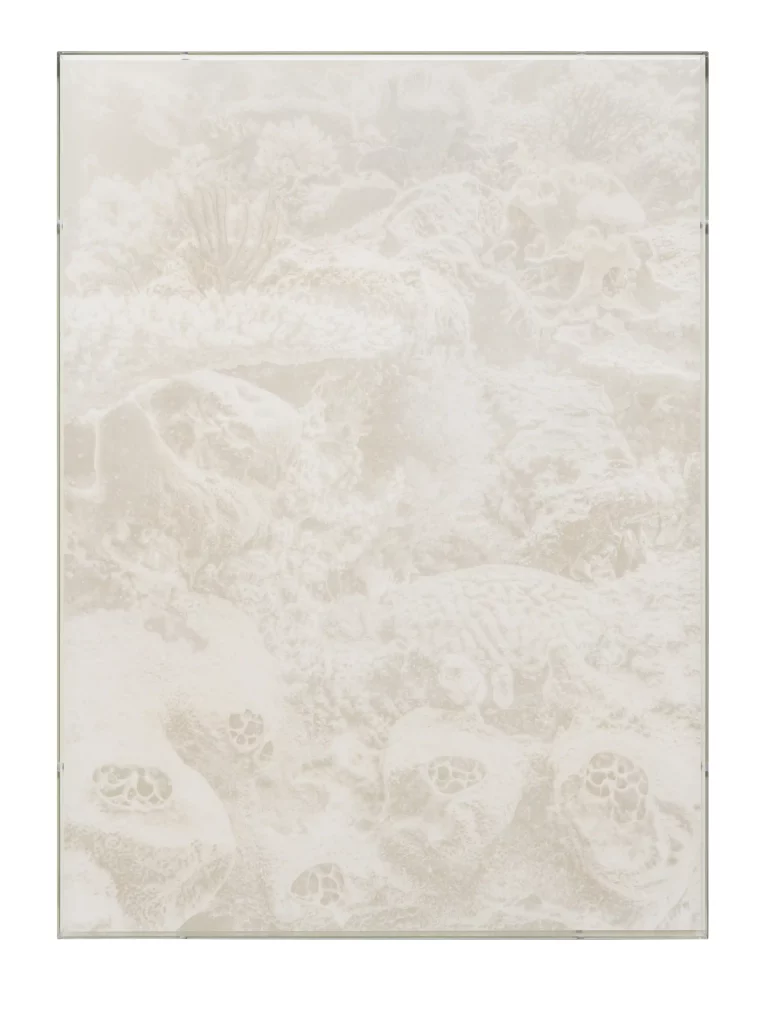 Julian Charrière, Veils, Liosina Paradoxa, 2025