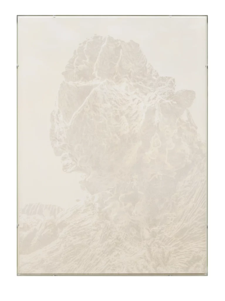 Julian Charrière, Veils, Xestospongia Muta, 2025