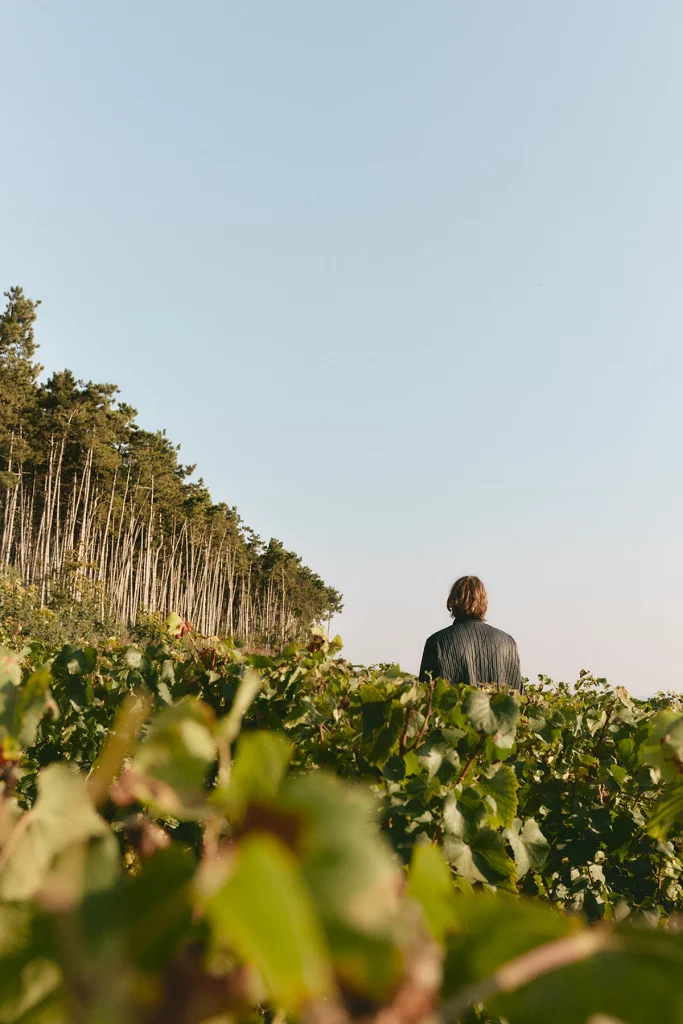 Portrait of Julian Charrière in the historic vineyard of Maison Ruinart in Taissy 2024, ph. Alice Jacquemin
