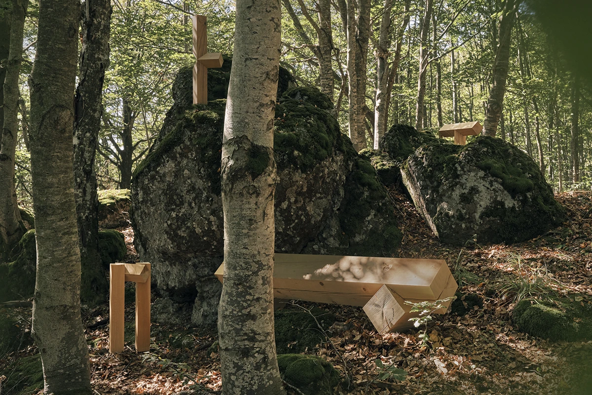 TIMEMADE, bosco, Mauro Balsamini