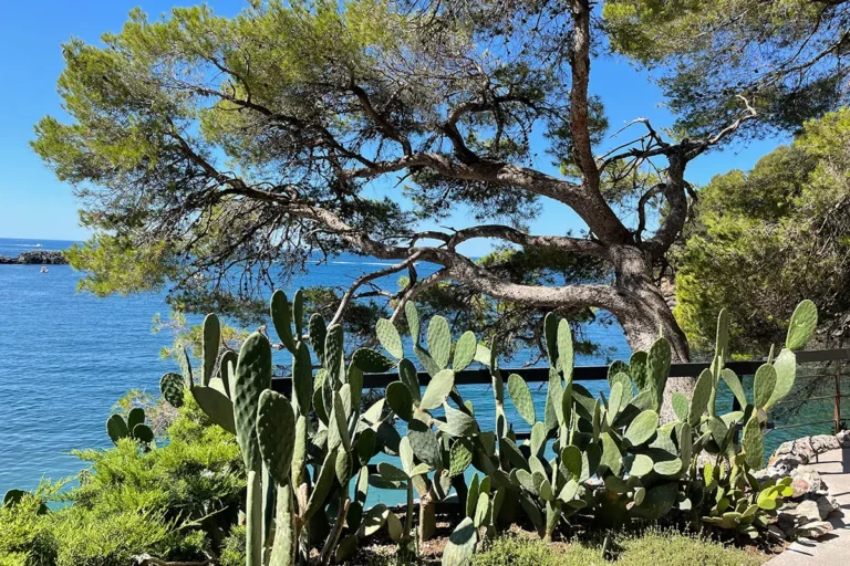 00 The gardens on the terrace