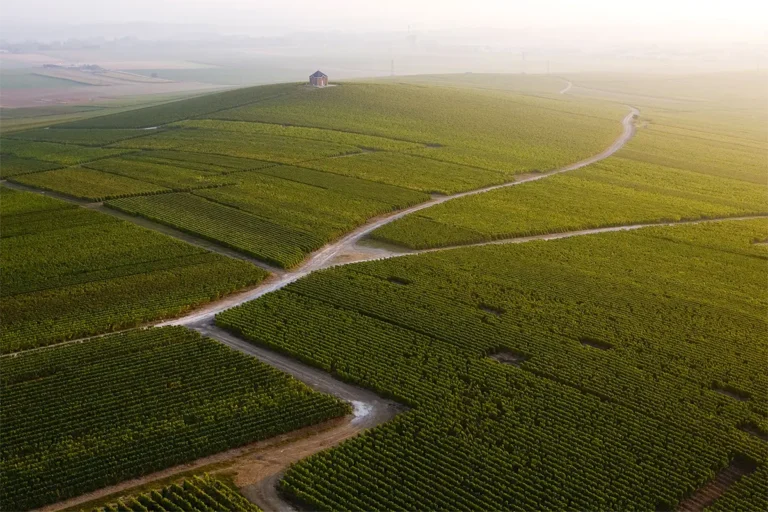 World Living Soils Forum ad Arles Lampoon Magazine|World Living Soils Forum